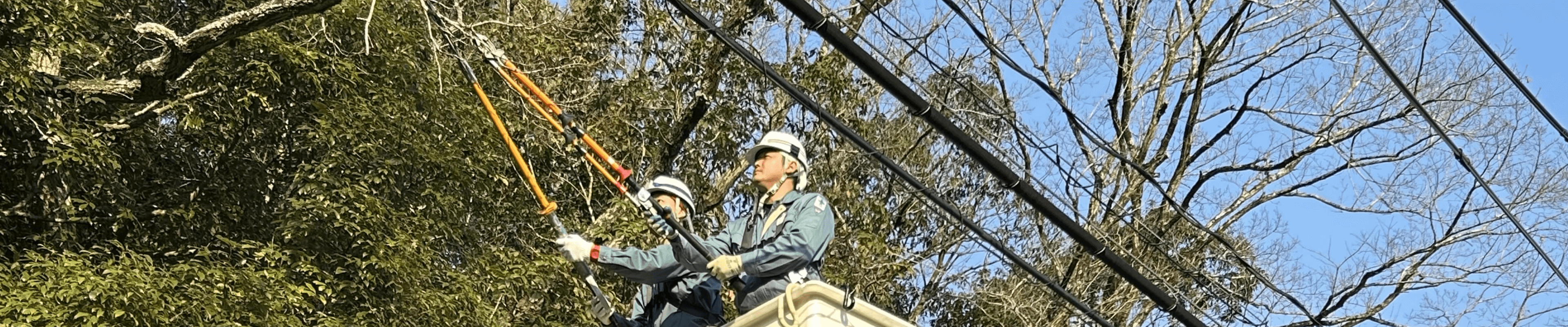 事業紹介 - 株式会社でんしょう